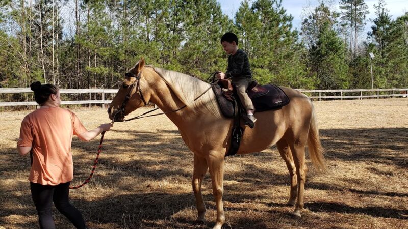 Pine Harbor Animal Hospital - Townsend, GA