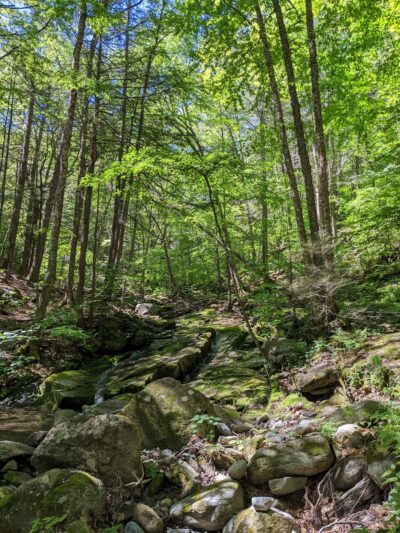 Townshend State Park - Townshend, VT