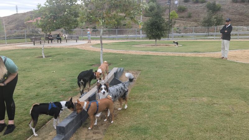 Portola Dog Park - Trabuco Canyon, CA
