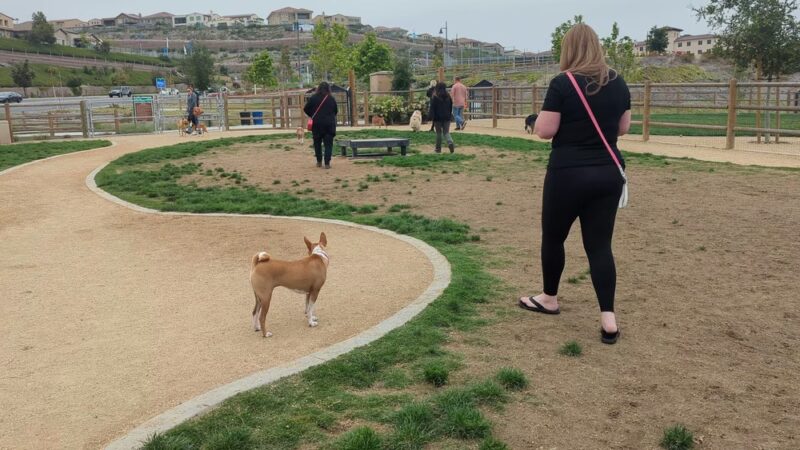 Portola Dog Park - Trabuco Canyon, CA
