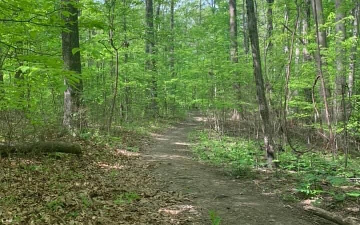 Laura Hare Preserve at Blossom Hollow - Trafalgar, IN