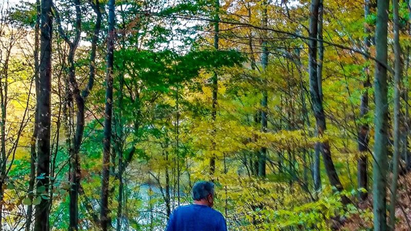 Laura Hare Preserve at Blossom Hollow - Trafalgar, IN
