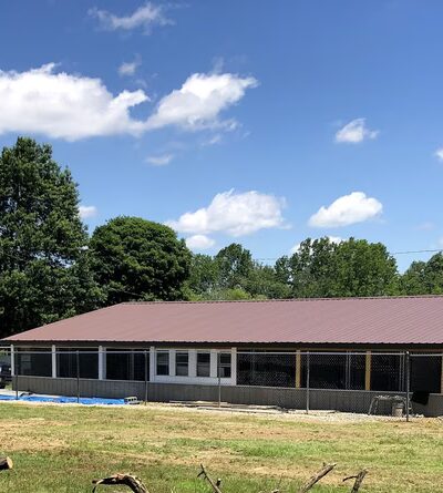 R&T's Country Boarding Kennel - Transfer, PA