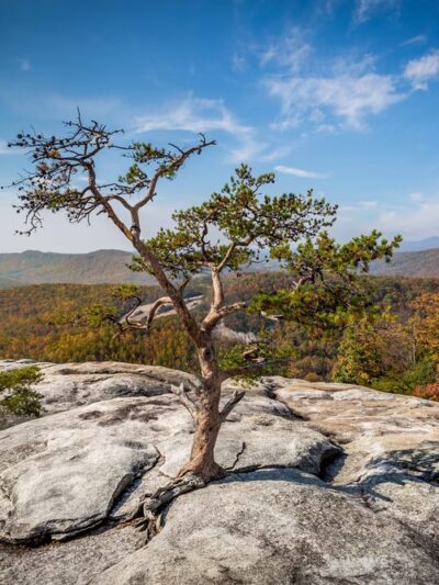 Stone Mountain State Park - Upper Trailhead Parking - Traphill, NC