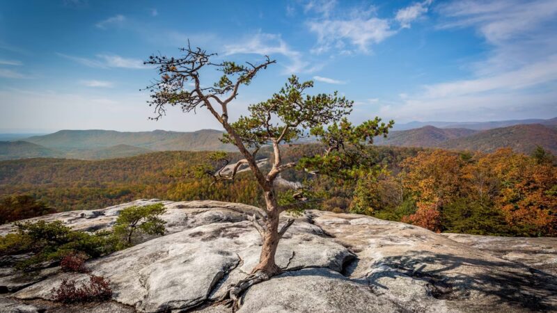 Stone Mountain State Park - Upper Trailhead Parking - Traphill, NC
