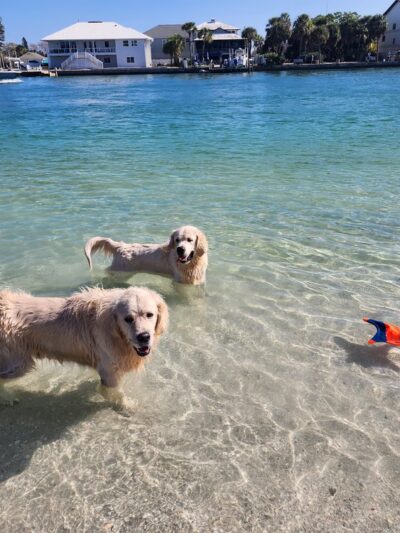 Sunset Beach Park - Treasure Island, FL