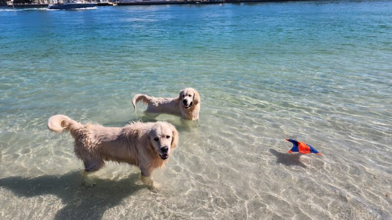 Sunset Beach Park - Treasure Island, FL