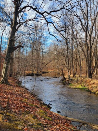Chesterbrook Trail - Tredyffrin Township, PA