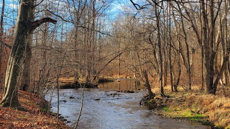 Chesterbrook Trail - Tredyffrin Township, PA