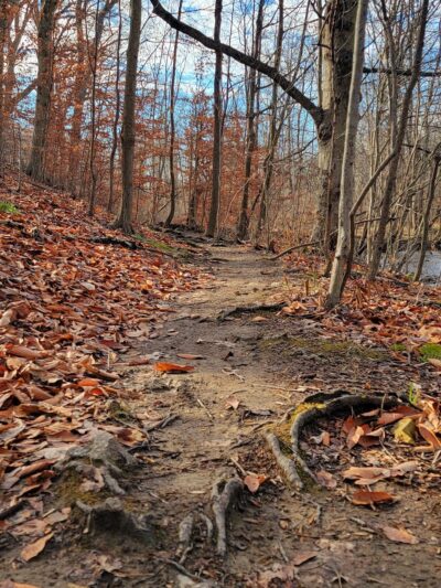 Chesterbrook Trail - Tredyffrin Township, PA
