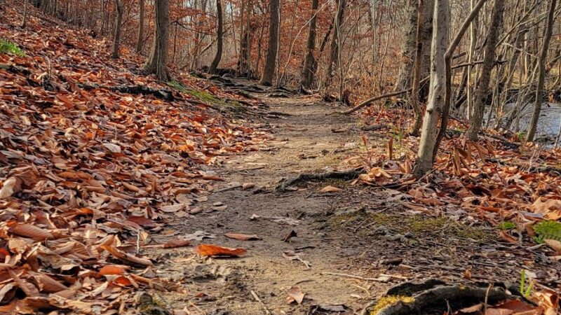 Chesterbrook Trail - Tredyffrin Township, PA