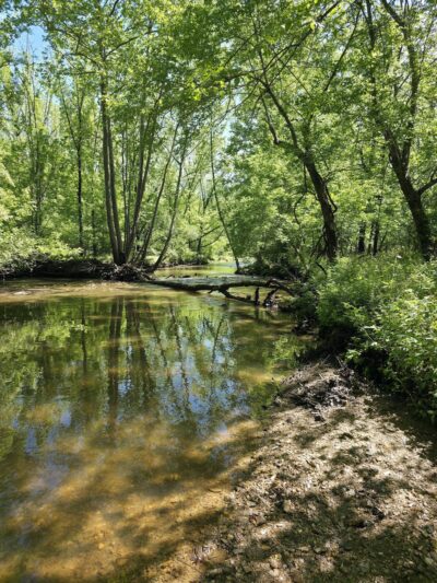 Chesterbrook Trail - Tredyffrin Township, PA