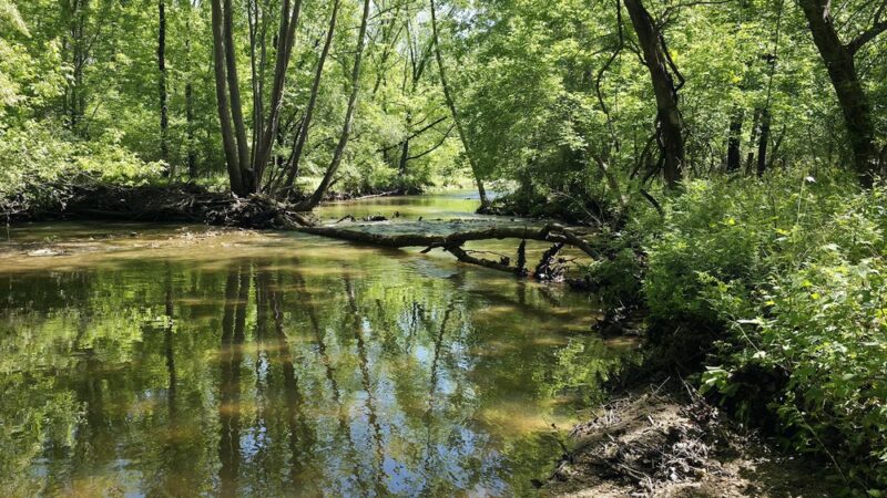 Chesterbrook Trail - Tredyffrin Township, PA
