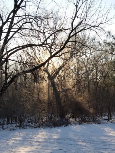Chesterbrook Trail - Tredyffrin Township, PA