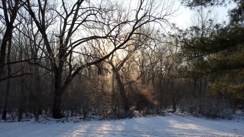 Chesterbrook Trail - Tredyffrin Township, PA