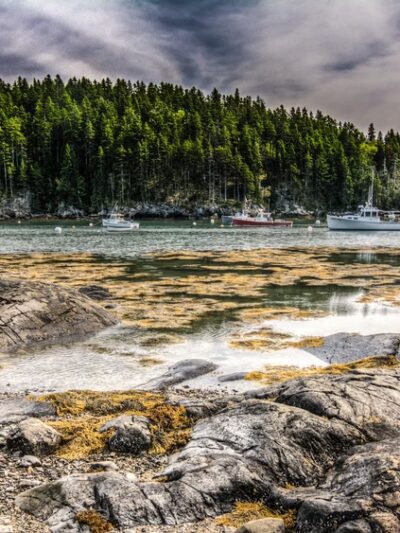 Seal Cove - Tremont, ME