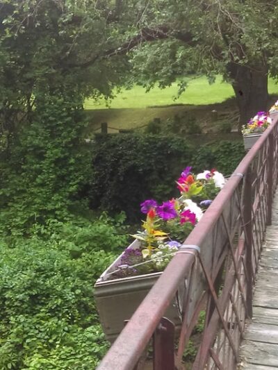 Assunpink Creek - Trenton, NJ