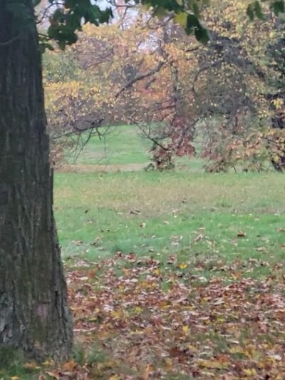 Cadwalader Park - Trenton, NJ