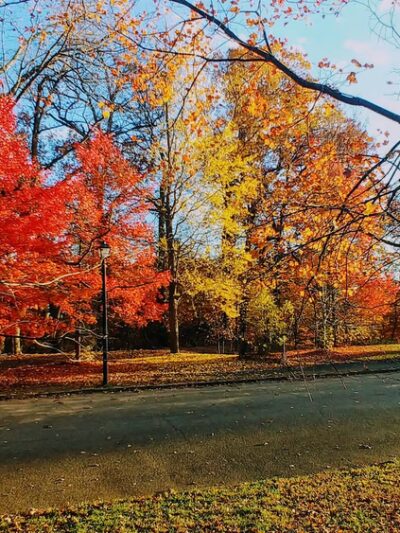 Cadwalader Park - Trenton, NJ