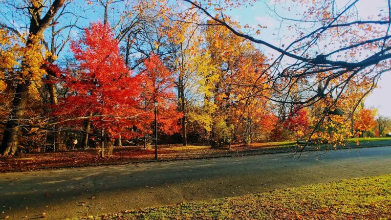 Cadwalader Park - Trenton, NJ