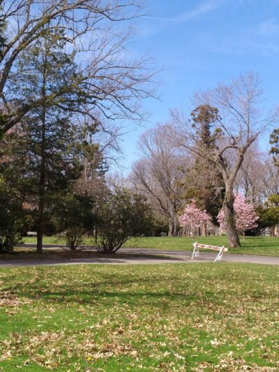 Cadwalader Park - Trenton, NJ