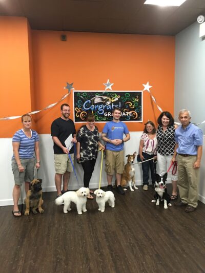 Courageous Canines Dog Training - Trenton, NJ