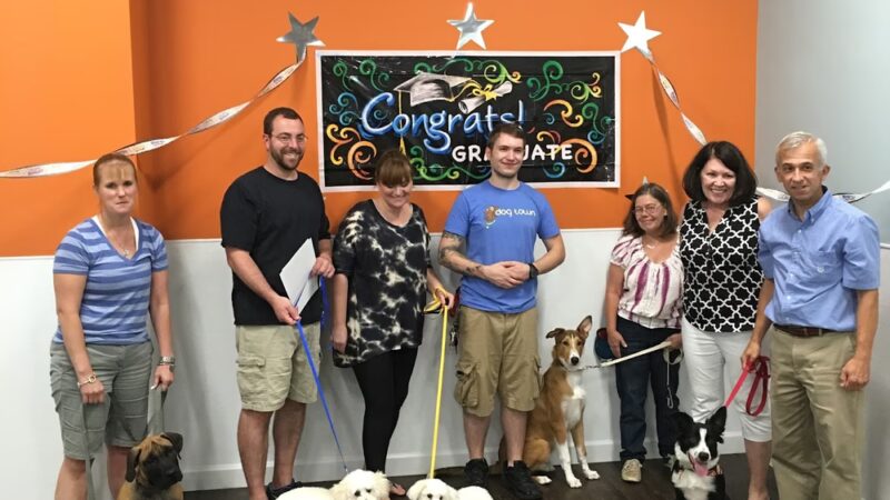 Courageous Canines Dog Training - Trenton, NJ