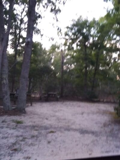 Laurel Park - Trenton, NJ