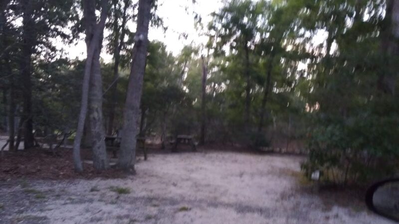 Laurel Park - Trenton, NJ