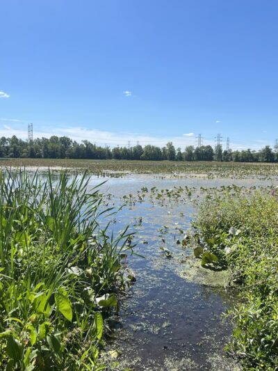 Roebling Park - Trenton, NJ