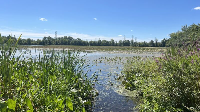 Roebling Park - Trenton, NJ