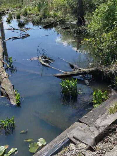 Roebling Park - Trenton, NJ