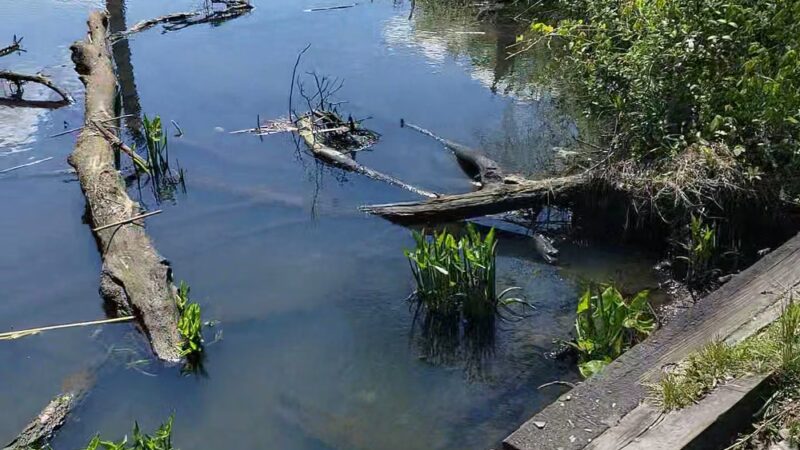 Roebling Park - Trenton, NJ