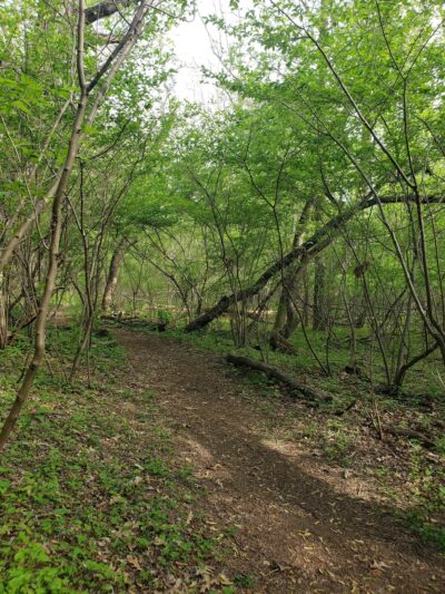 Roebling Park - Trenton, NJ