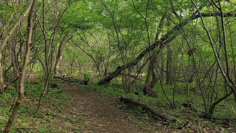 Roebling Park - Trenton, NJ