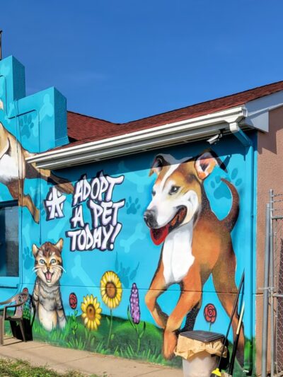 Trenton Animal Shelter - Trenton, NJ