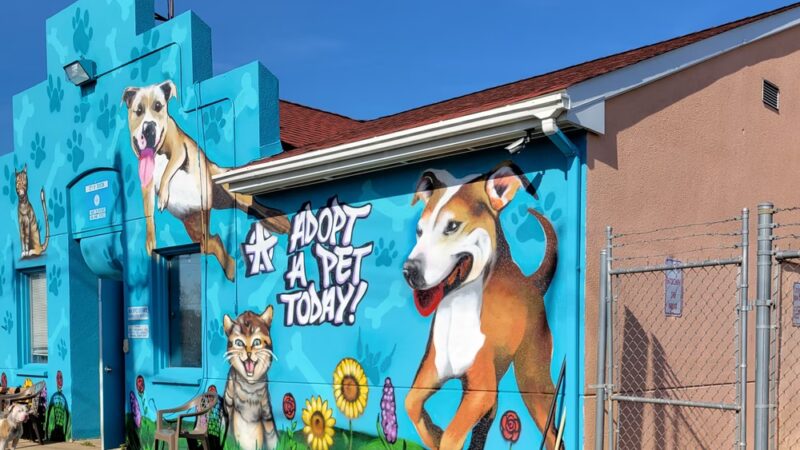 Trenton Animal Shelter - Trenton, NJ