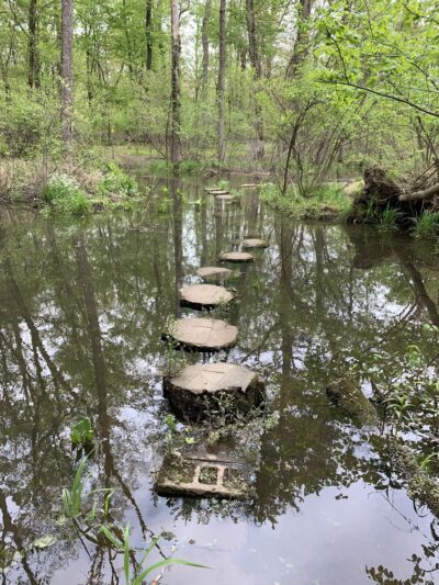 Watson Woods - Trenton, NJ