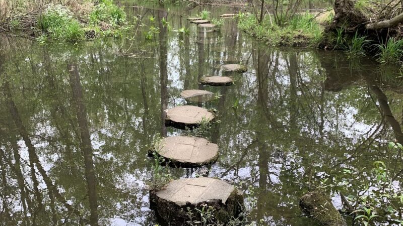 Watson Woods - Trenton, NJ