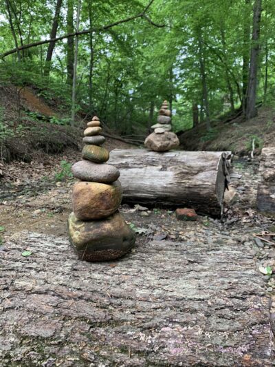 Watson Woods - Trenton, NJ