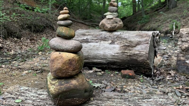 Watson Woods - Trenton, NJ