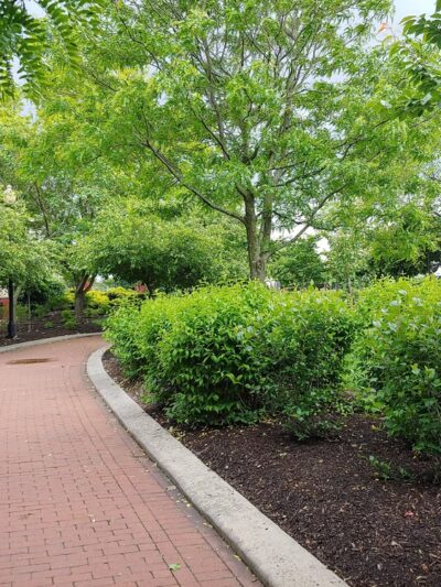 Lalor St Park - Trenton, NJ