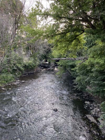 Mill Hill Park - Trenton, NJ