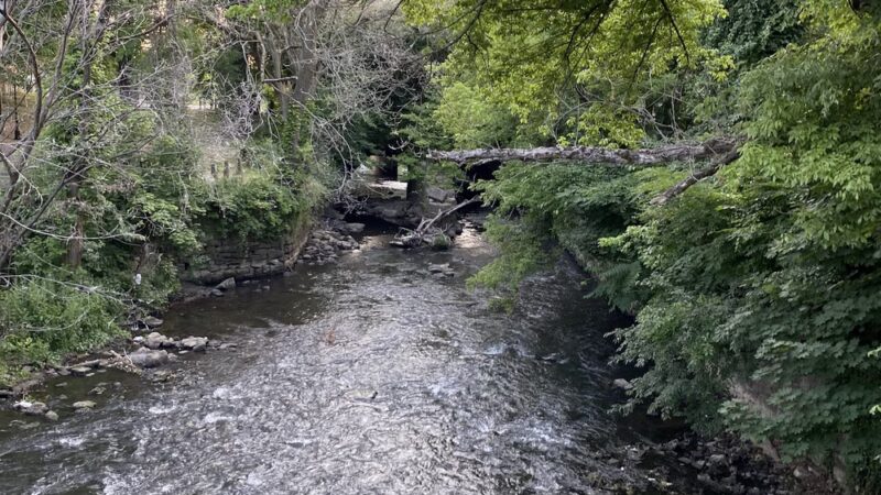 Mill Hill Park - Trenton, NJ