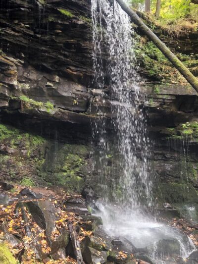 Jacoby Falls Trailhead - Trout Run, PA