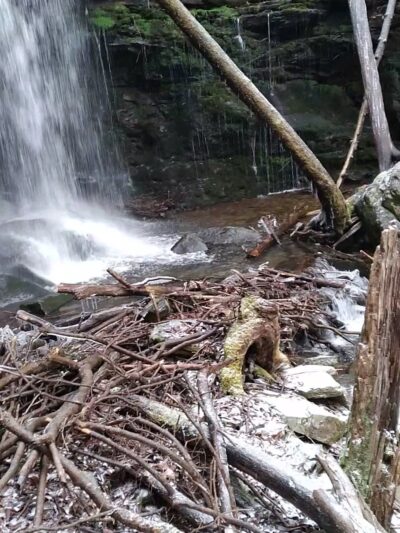 Jacoby Falls Trailhead - Trout Run, PA