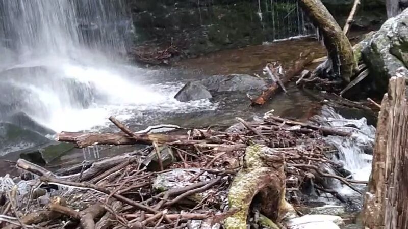 Jacoby Falls Trailhead - Trout Run, PA