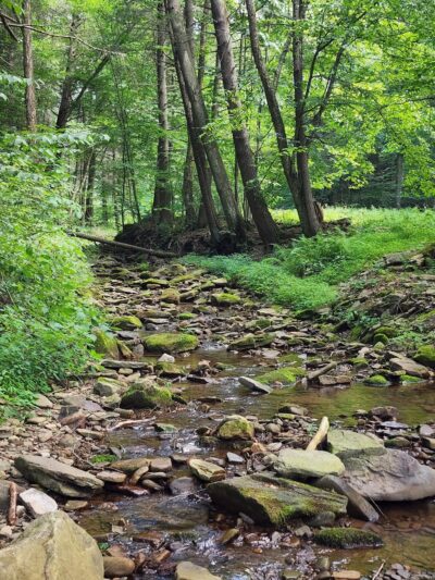 Jacoby Falls Trailhead - Trout Run, PA