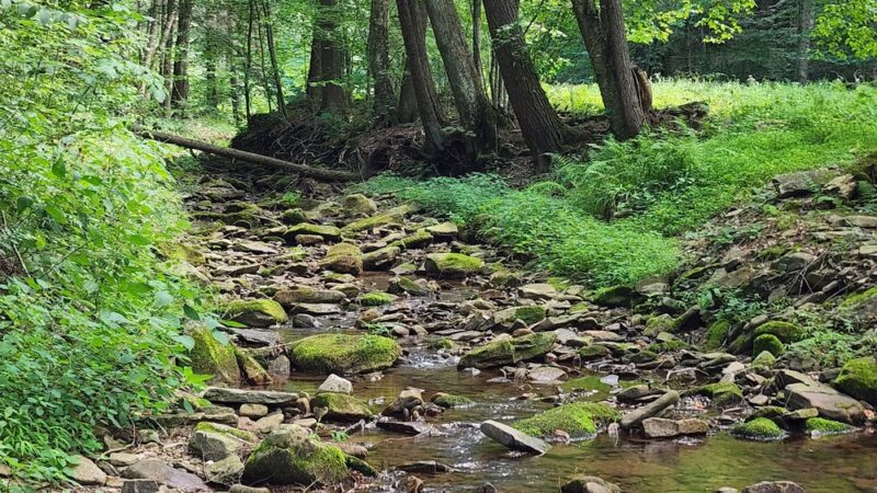 Jacoby Falls Trailhead - Trout Run, PA