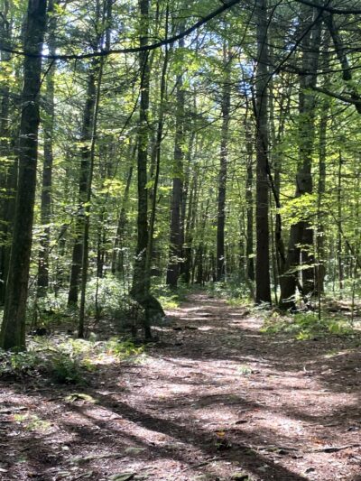 Rider Park - Trout Run, PA